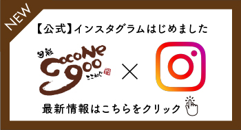 インスタグラム