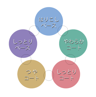 ラメラトリートメント相関図